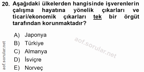 20. soru: Aşağıdaki ülkelerden hangisinde işverenlerin çalışma hayatına yönelik çıkarları ve ticari/ekonomik çıkarları tek bir…