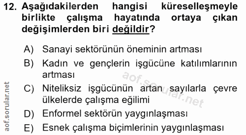 12. soru: Aşağıdakilerden hangisi küreselleşmeyle birlikte çalışma hayatında ortaya çıkan değişimlerden biri değildir? A) Sanay…