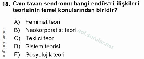 18. soru: Cam tavan sendromu hangi endüstri ilişkileri teorisinin temel konularından biridir? A) Feminist teori B) C) Tekilci t…