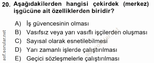 20. soru: Aşağıdakilerden hangisi çekirdek (merkez) işgücüne ait özelliklerden biridir? A) Iş güvencesinin olması B) Vasıfsız v…