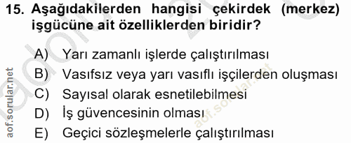 15. soru: Aşağıdakilerden hangisi çekirdek (merkez) işgücüne ait özelliklerden biridir? A) Yarı zamanlı işlerde çalıştırılması…