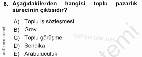 6. soru: Aşağıdakilerden hangisi toplu pazarlık sürecinin çıktısıdır? A) Toplu iş sözleşmesi B) Grev C) Toplu görüşme D) Sendi…
