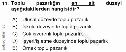 11. soru: Toplu pazarlığın en alt düzeyi aşağıdakilerden hangisidir? A) Ulusal düzeyde toplu pazarlık B) İşkolu düzeyinde toplu…