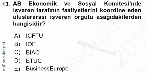 13. soru: AB Ekonomik ve Sosyal Komitesi'nde işveren tarafının faaliyetlerini koordine eden uluslararası işveren örgütü aşağıda…