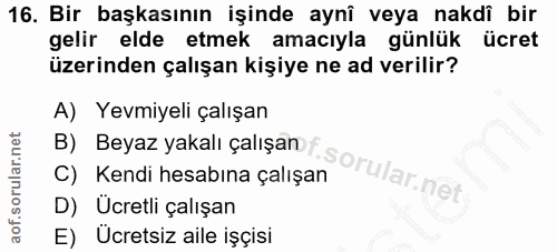 16. soru: Bir başkasının işinde aynî veya nakdî bir gelir elde etmek amacıyla günlük ücret üzerinden çalışan kişiye ne ad veril…