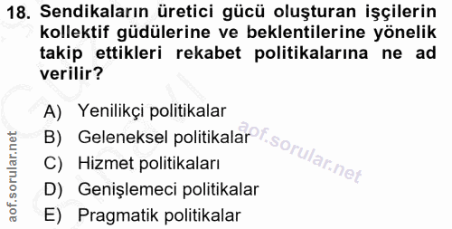 18. soru: Sendikaların üretici gücü oluşturan işçilerin kollektif güdülerine ve beklentilerine yönelik takip ettikleri rekabet…