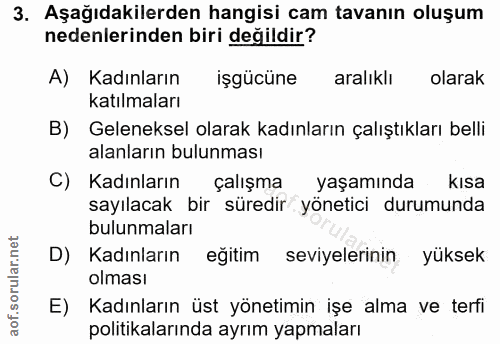 3. soru: Aşağıdakilerden hangisi cam tavanın oluşum nedenlerinden biri değildir? A) Kadınların işgücüne aralıklı olarak katılm…