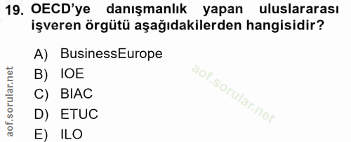 19. soru: OECD'ye danışmanlık yapan uluslararası işveren örgütü aşağıdakilerden hangisidir? A) BusinessEurope B) IOE C) BIAC D)…