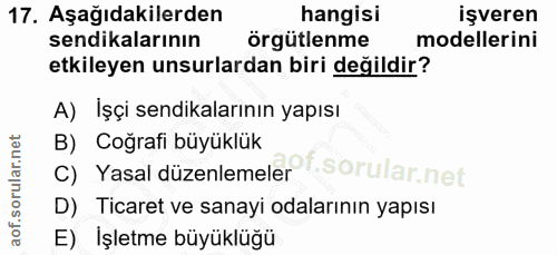 17. soru: Aşağıdakilerden hangisi işveren sendikalarının örgütlenme modellerini etkileyen unsurlardan biri değildir? A) Işçi se…