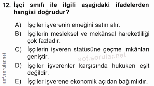 12. soru: Işçi sınıfı ile ilgili aşağıdaki ifadelerden hangisi doğrudur? A) Işçiler işverenin emeğini satın alır. B) İşçilerin…