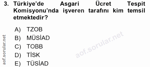 3. soru: Türkiye'de Asgari Ücret Tespit Komisyonu'nda işveren tarafını kim temsil etmektedir? A) TZOB B) MÜSİAD C) TOBB aof.so…