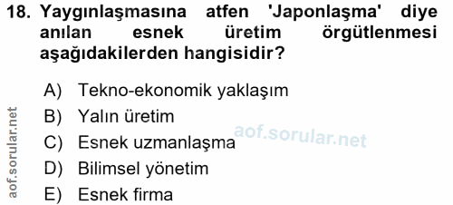 18. soru: Yaygınlaşmasına atfen 'Japonlaşma' diye anılan esnek üretim örgütlenmesi aşağıdakilerden hangisidir? A) Tekno-ekonomi…