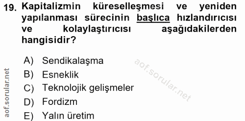 19. soru: Kapitalizmin küreselleşmesi ve yeniden yapılanması sürecinin başlıca hızlandırıcısı ve kolaylaştırıcısı aşağıdakilerd…