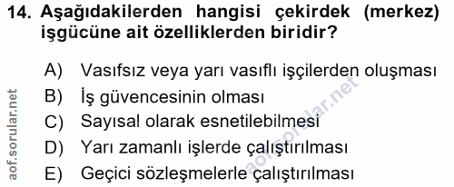 14. soru: Aşağıdakilerden hangisi çekirdek (merkez) işgücüne ait özelliklerden biridir? A) Vasıfsız veya yarı vasıflı işçilerde…