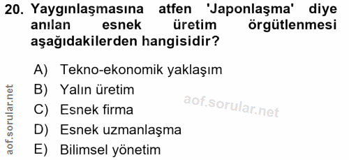 20. soru: Yaygınlaşmasına atfen 'Japonlaşma' diye anılan esnek üretim örgütlenmesi aşağıdakilerden hangisidir? A) Tekno-ekonomi…