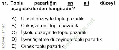 11. soru: Toplu pazarlığın en alt düzeyi aşağıdakilerden hangisidir? A) Ulusal düzeyde toplu pazarlık B) Çok işverenli toplu pa…