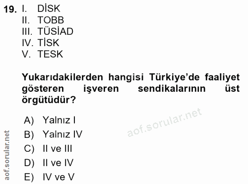 19. soru: 1. DISK II. TOBB III. TUSIAD IV. TiSK V. TESK Yukarıdakilerden hangisi Türkiye'de faaliyet gösteren işveren sendikala…
