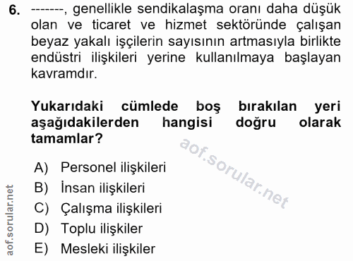 6. soru: --, genellikle sendikalaşma oranı daha düşük olan ve ticaret ve hizmet sektöründe çalışan beyaz yakalı işçilerin sayı…