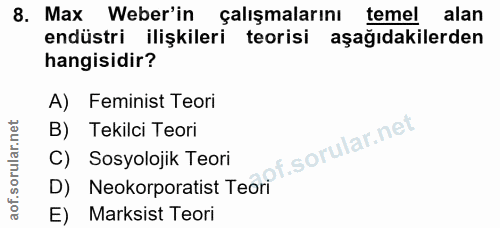 8. soru: Max Weber'in çalışmalarını temel alan endüstri ilişkileri teorisi aşağıdakilerden hangisidir? A) Feminist Teori B) Te…