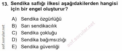 13. soru: Sendika saflığı ilkesi aşağıdakilerden hangisi için bir engel oluşturur? A) Sendika özgürlüğü B) Sarı sendikacılık Se…