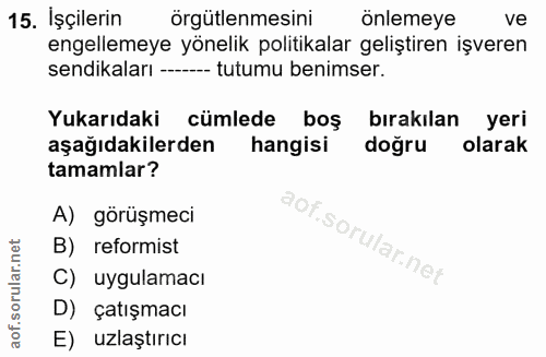 15. soru: İşçilerin örgütlenmesini onlemeye ve engellemeye yönelik politikalar geliştiren işveren sendikaları --- tutumu benims…