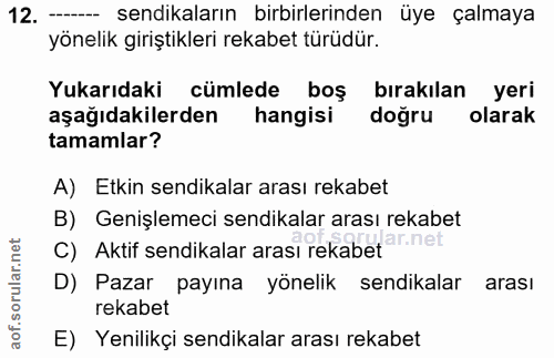 12. soru: —_ sendikaların birbirlerinden üye çalmaya yönelik giriştikleri rekabet türüdür. Yukarıdaki cümlede boş bırakılan yer…