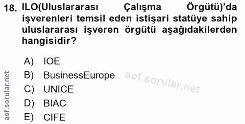 18. soru: ILO(Uluslararası Çalışma Örgütü)'da işverenleri temsil eden istişari statüye sahip uluslararası işveren örgütü aşağıd…