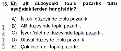 13. soru: En alt düzeydeki toplu pazarlık türü aşağıdakilerden hangisidir? A) İşkolu düzeyinde toplu pazarlık B) AB düzeyinde t…