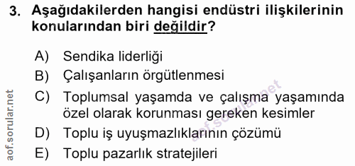 3. soru: Aşağıdakilerden hangisi endüstri ilişkilerinin konularından biri değildir? A) Sendika liderliği B) Çalışanların örgüt…