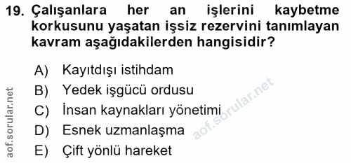 19. soru: Çalışanlara her an işlerini kaybetme korkusunu yaşatan işsiz rezervini tanımlayan kavram aşağıdakilerden hangisidir?…