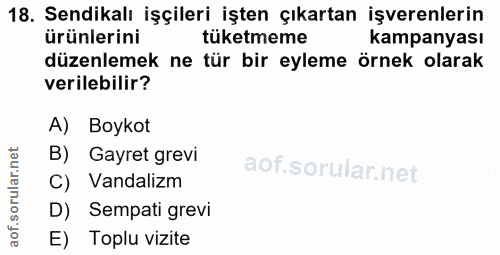 18. soru: Sendikalı işçileri işten çıkartan işverenlerin ürünlerini tüketmeme kampanyası düzenlemek ne tür bir eyleme örnek ola…