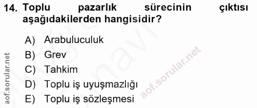 14. soru: Toplu pazarlık sürecinin Çıktısı aşağıdakilerden hangisidir? A) Arabuluculuk B) Grev C) Tahkim D) Toplu iş uyuşmazlığ…