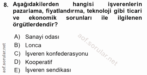 8. soru: Aşağıdakilerden hangisi işverenlerin pazarlama, fiyatlandırma, teknoloji gibi ticari ve ekonomik sorunları ile ilgile…
