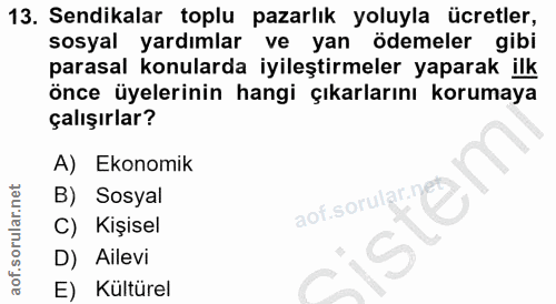 13. soru: Sendikalar toplu pazarlık yoluyla ücretler, sosyal yardımlar ve yan ödemeler gibi parasal konularda iyileştirmeler ya…