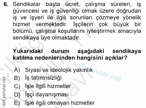 6. soru: Sendikalar başta ücret, çalışma süreleri, iş güvencesi ve iş güvenliği olmak üzere doğrudan iş ve işyeri ile ilgili s…