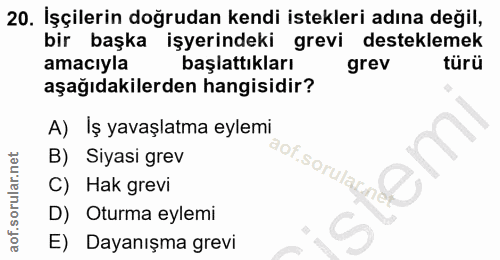 20. soru: İşçilerin doğrudan kendi istekleri adına değil, bir başka işyerindeki grevi desteklemek amacıyla başlattıkları grev t…
