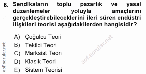 6. soru: Sendikaların toplu pazarlık ve yasal düzenlemeler yoluyla amaçlarını gerçekleştirebileceklerini ileri süren endüstri…