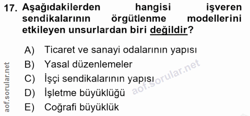 17. soru: Aşağıdakilerden hangisi işveren sendikalarının örgütlenme modellerini etkileyen unsurlardan biri değildir? A) Ticaret…