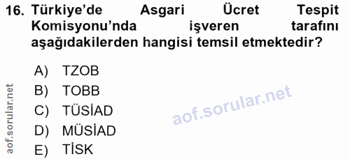 16. soru: Türkiye'de Asgari Ucret Tespit Komisyonu'nda işveren tarafını aşağıdakilerden hangisi temsil etmektedir? A) TZOB B) T…