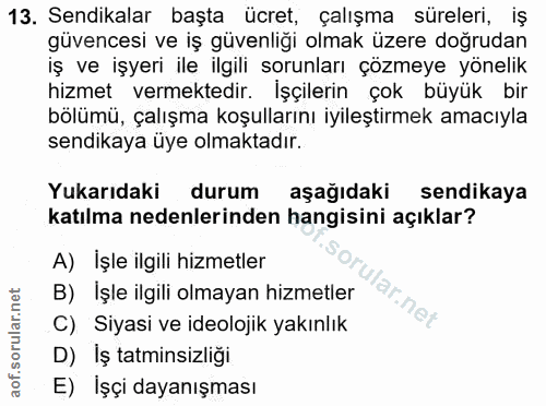 13. soru: Sendikalar başta ücret, çalışma süreleri, iş güvencesi ve iş güvenliği olmak üzere doğrudan iş ve işyeri ile ilgili s…