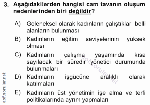 3. soru: Aşağıdakilerden hangisi cam tavanın oluşum nedenlerinden biri değildir? A) Geleneksel olarak kadınların çalıştıkları…