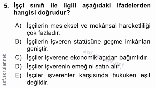 5. soru: İşçi sınıfı ile ilgili aşağıdaki ifadelerden hangisi doğrudur? A) Işçilerin mesleksel ve mekânsal hareketliliği çok f…