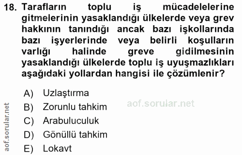18. soru: Tarafların toplu iş mücadelelerine gitmelerinin yasaklandığı ülkelerde veya grev hakkının tanındığı ancak bazı işkoll…