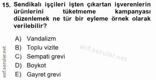 15. soru: Sendikalı işçileri işten çıkartan işverenlerin ürünlerini tüketmeme kampanyası düzenlemek ne tür bir eyleme örnek ola…
