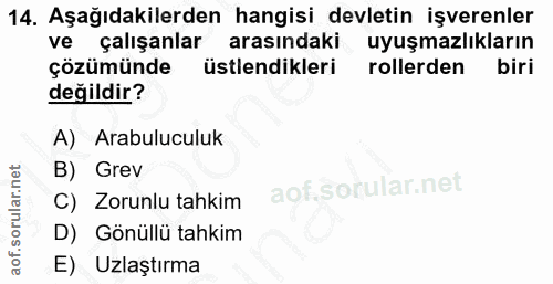 14. soru: Aşağıdakilerden hangisi devletin işverenler ve çalışanlar arasındaki uyuşmazlıkların çözümünde üstlendikleri rollerde…