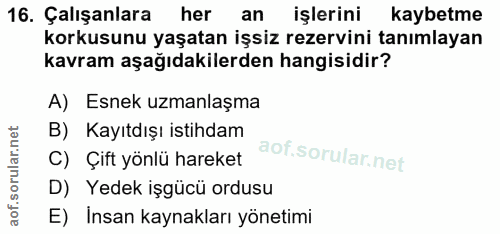 16. soru: Çalışanlara her an işlerini kaybetme korkusunu yaşatan işsiz rezervini tanımlayan kavram aşağıdakilerden hangisidir?…