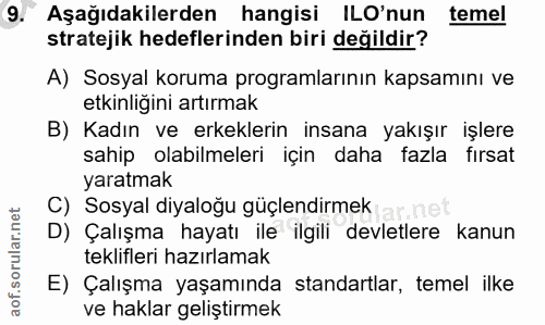 9. soru: Aşağıdakilerden hangisi ILO'nun temel stratejik hedeflerinden biri değildir? A) Sosyal koruma programlarının kapsamın…