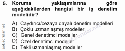 5. soru: Koruma yaklaşımlarına göre aşağıdakilerden hangisi bir iş denetim modelidir? A) Caydırıcı/cezaya dayalı denetim model…