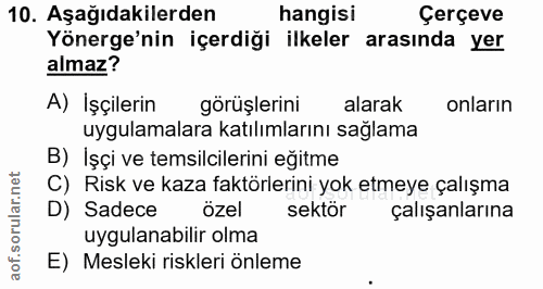 10. soru: Aşağıdakilerden hangisi Çerçeve Yönerge'nin içerdiği ilkeler arasında yer almaz? A) İşçilerin görüşlerini alarak onla…