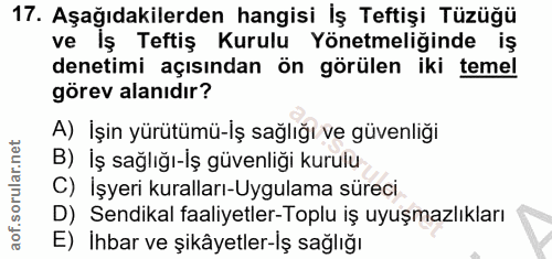 17. soru: Aşağıdakilerden hangisi İş Teftişi Tüzüğü ve Iş Teftiş Kurulu Yönetmeliğinde iş denetimi açısından ön görülen iki tem…